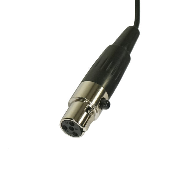 IWM LV Mic5