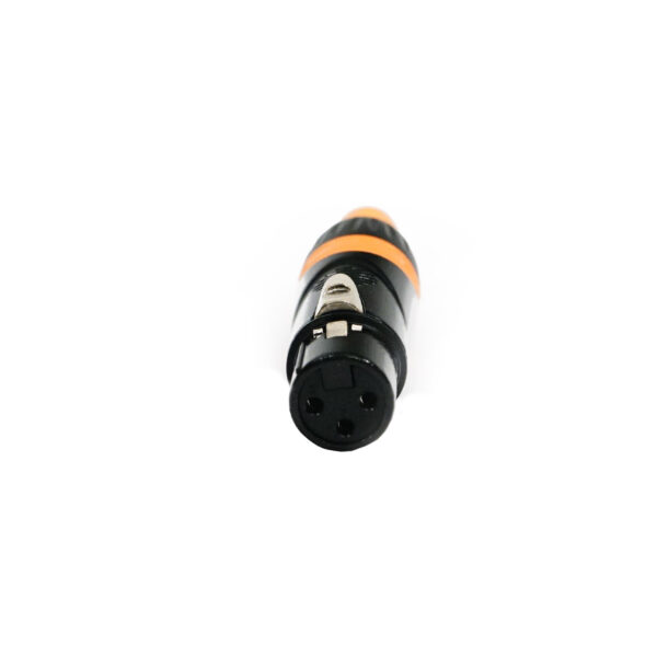 FC XLR3 F2